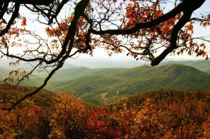 Fall Travel: Foliage Treks