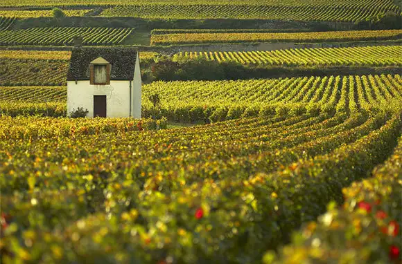 European Wine Towns