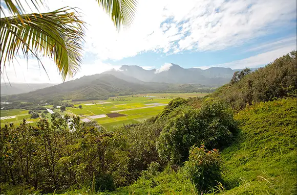 Kauai