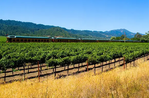 Napa Valley Wine Train, Napa, California