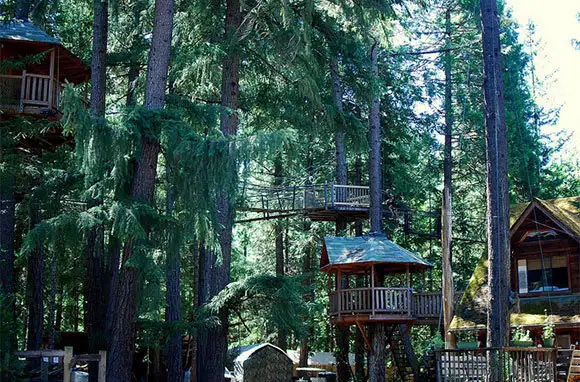 Out 'n' About Treehouse Treesort, Oregon