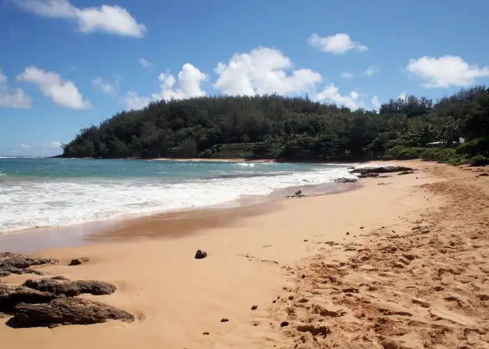 Stillness, Stars, and Sea: A Few Days in Kauai