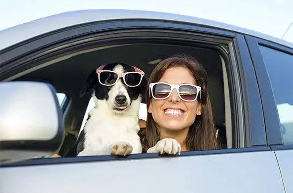 Carry an Extra Pair of Glasses While Driving in Spain