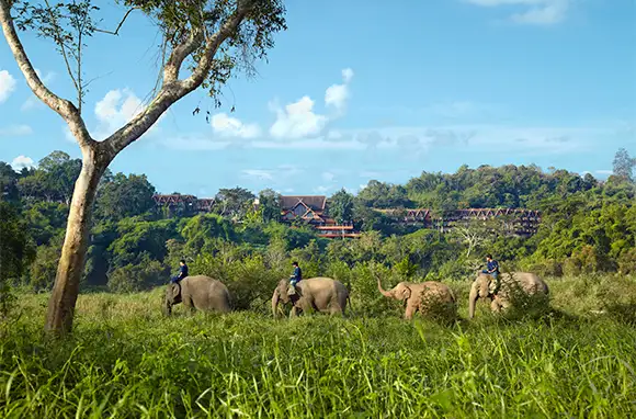 Anantara Golden Triangle Elephant Camp & Resort, Chiang Rai, Thailand