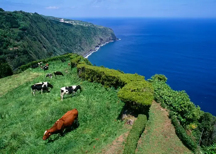 10 Flavorful Reasons to Visit the Azores
