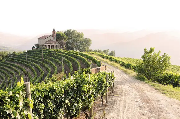 Vineyard Landscape of Piedmont: Langhe-Roero and Monferrato, Italy