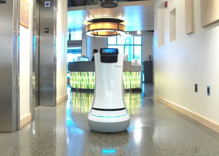 Robotic Hotel Butlers Are on the Rise