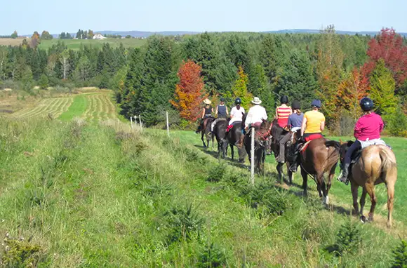 Horseback Riding in Quebec