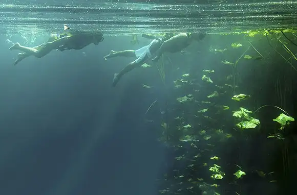 Cenote Snorkeling, Mexico