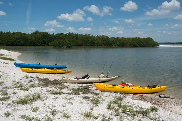 Arm Strengthening and Character Building: Kayaking in Southern Florida