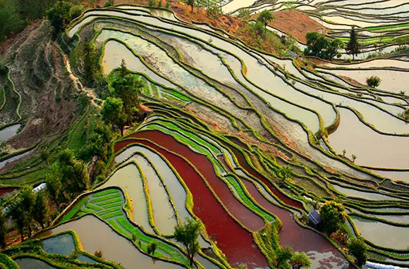 Honghe Hani Rice Terraces, Southern Yunnan Province, China