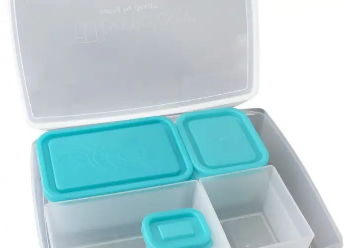 Pick of the Day: Portion Control Lunch Box by Bentology