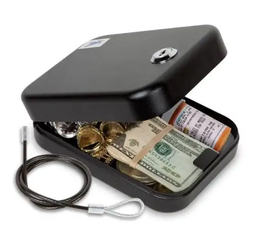 Pick of the Day: Helix Personal Safe with Tether