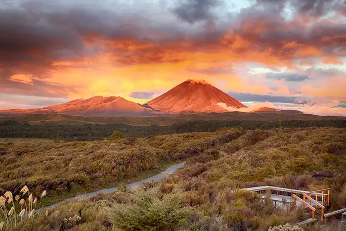 7 Things No One Ever Tells You About New Zealand