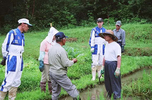 Work on an Organic Farm