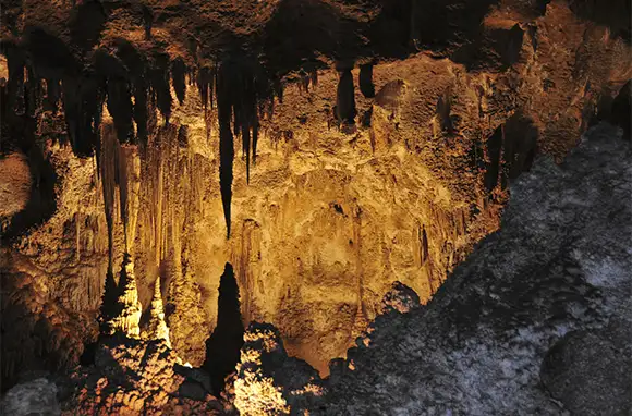 Spring: Carlsbad Caverns National Park, New Mexico