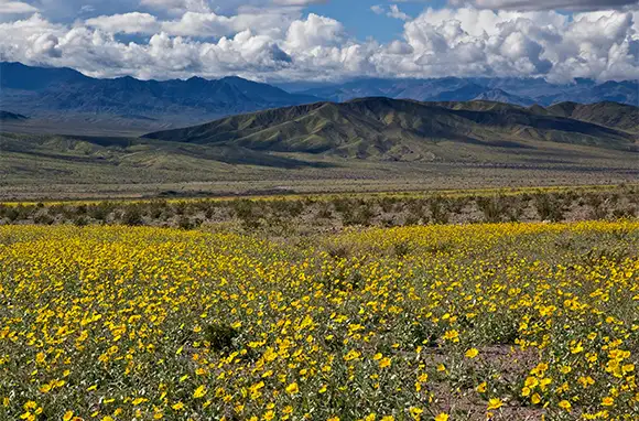 Winter: Death Valley National Park, California and Nevada