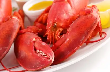 Do You Know What’s Really in Your Lobster Roll?