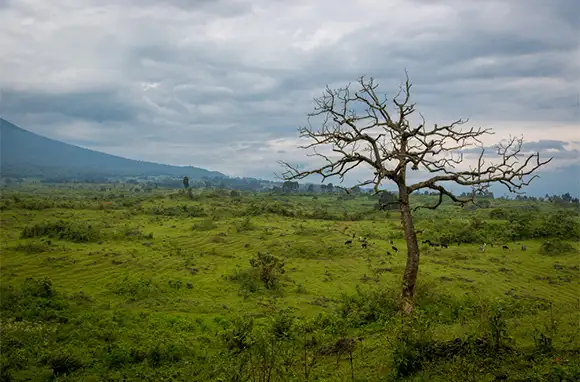 Democratic Republic of the Congo