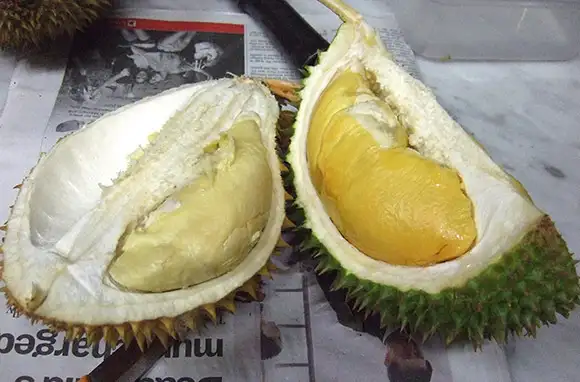 Durian