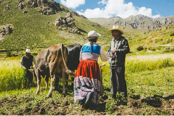 What It’s Like to Do a Homestay in the Peruvian Andes