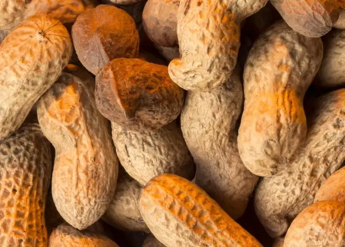 Is It OK to Bring Peanuts on a Plane?
