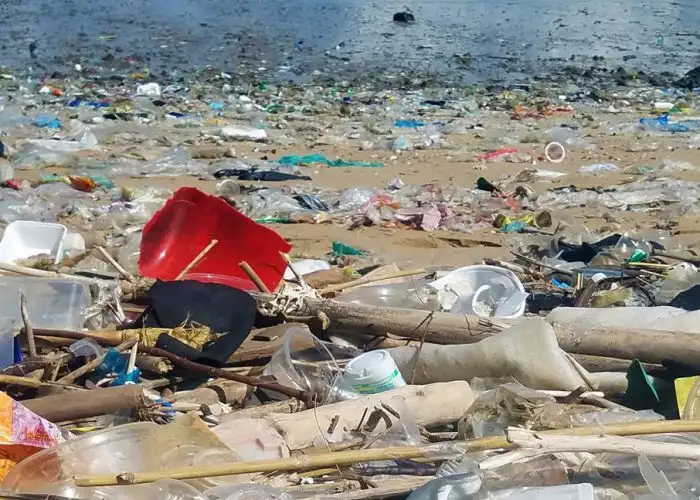 Thick Waves of Trash Are Taking Over These Hong Kong Beaches