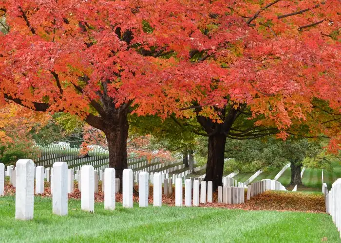 Arlington National Cemetery