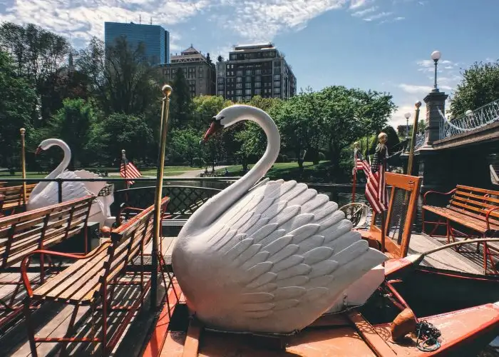boston swan boat tour