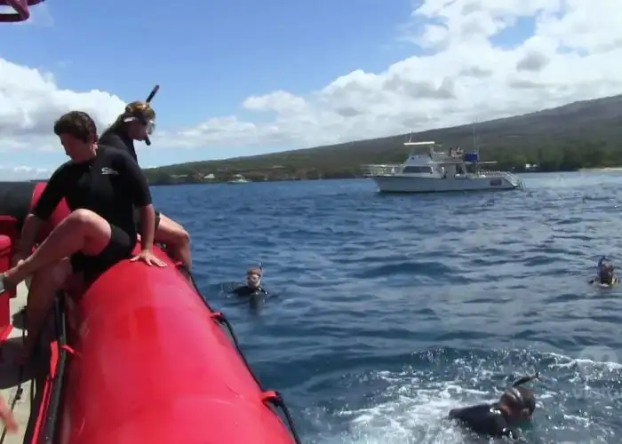 Maui: Molokini Snorkel Sea Turtle Adventure Tour