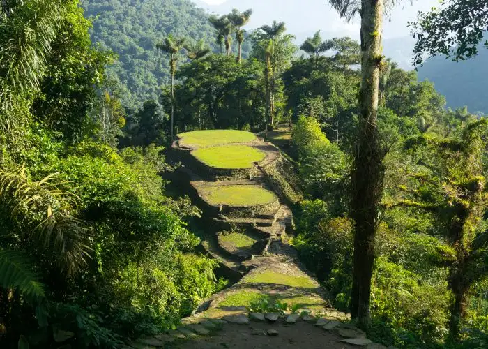 things to do in colombia lost city