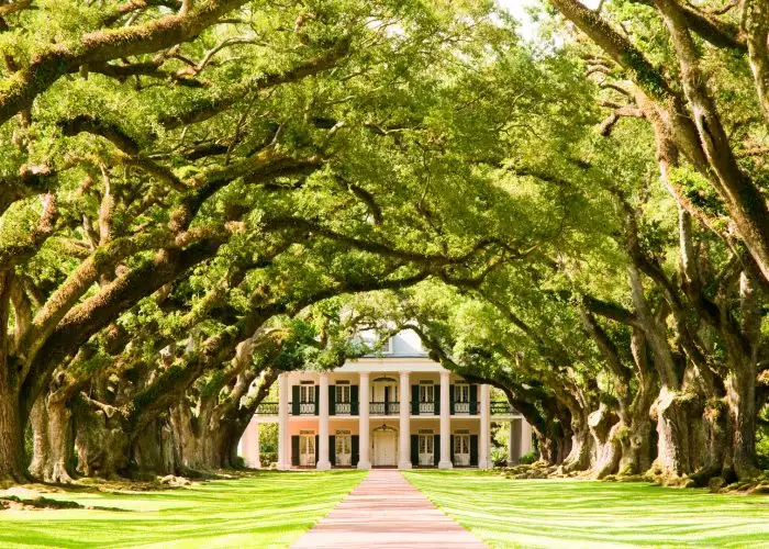 New Orleans: Small-Group Tour of Oak Alley and Laura Plantation