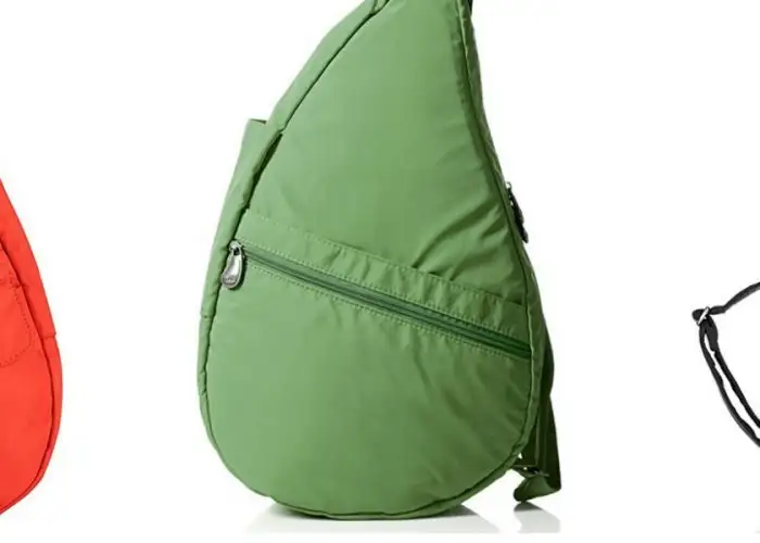 Ameribag Healthy Back Bag in three colors