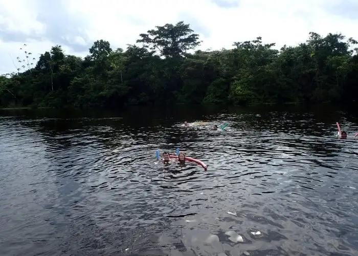 Swimming in the Amazon