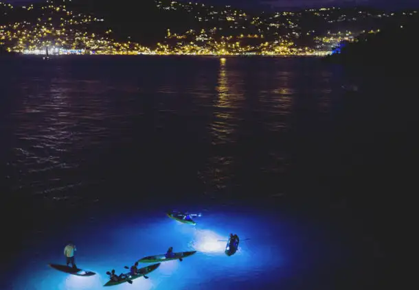 Clear-Bottom Kayaking with LED Lights in St. Thomas