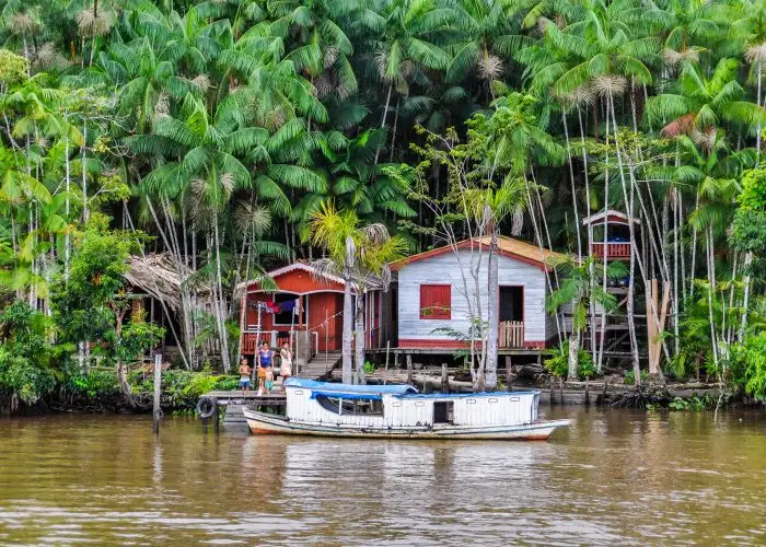 Amazon River Cruise Video