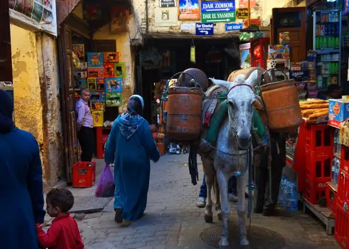 things to know before you go to morocco medinas
