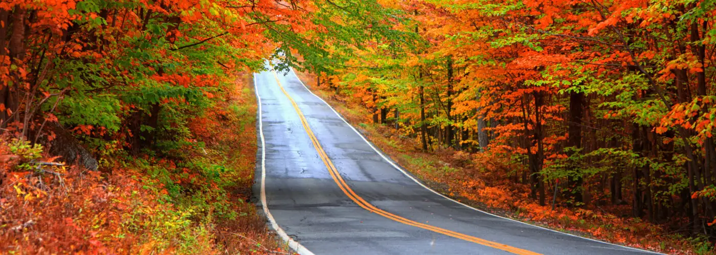 Empty road running through autumn foliage