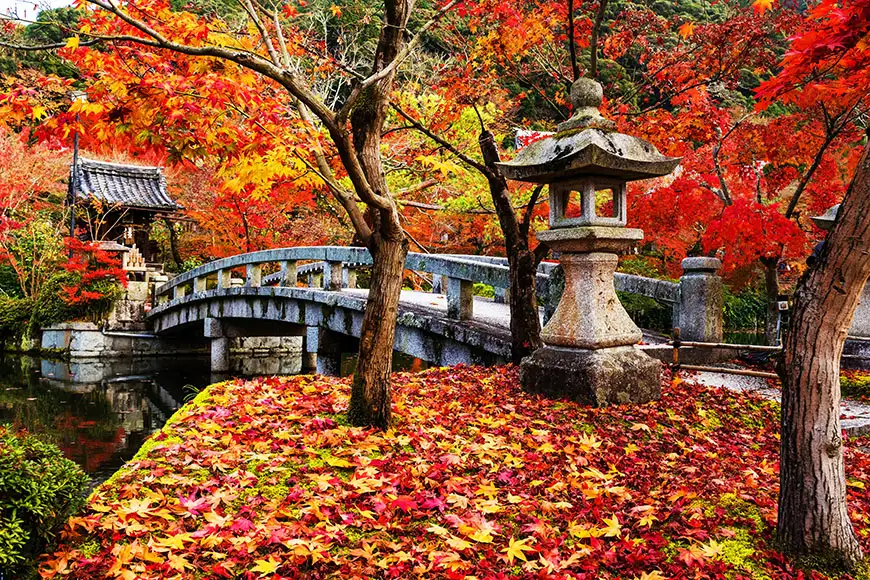 eikando kyoto autumn bridge.