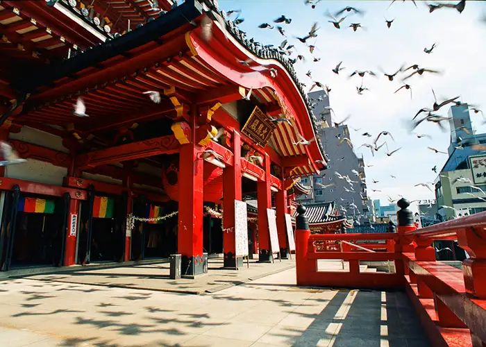 nagoya temple and birds