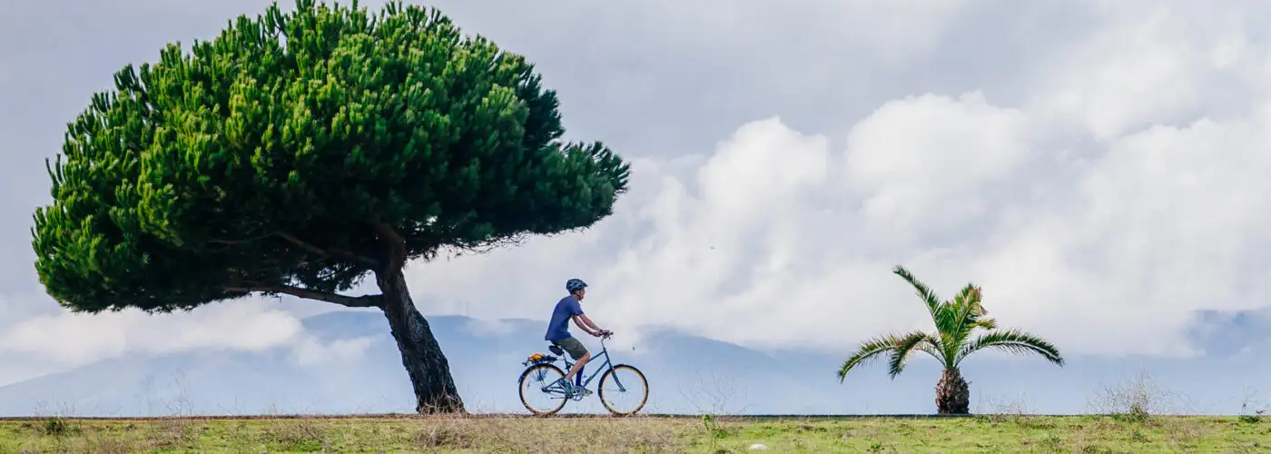 man riding bike next to tree