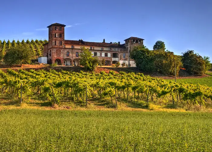 winery in piedmont italy