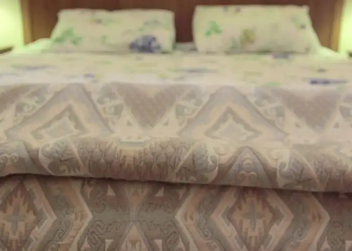 How to Spot Bed Bugs In Your Hotel (Video)