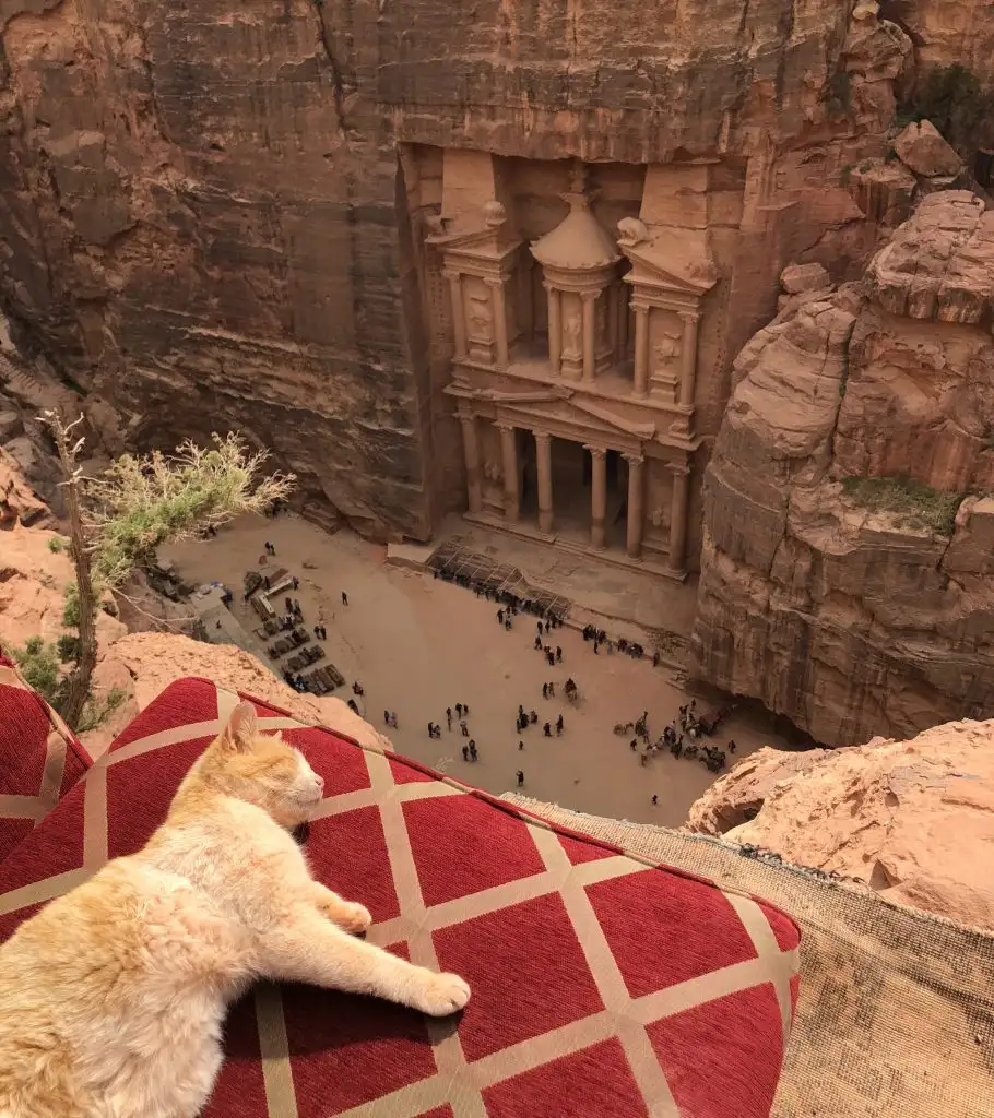 Petra from above cat jordan travel