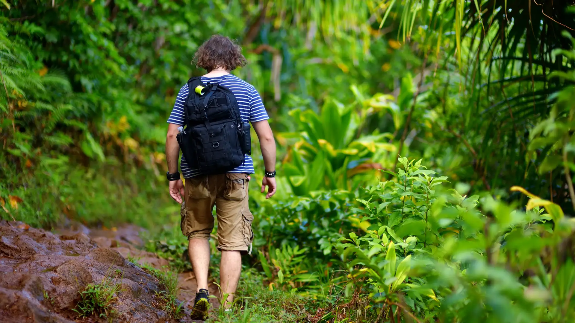 person on hiking trail