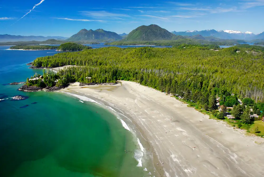 view of sunny beaches in tofino