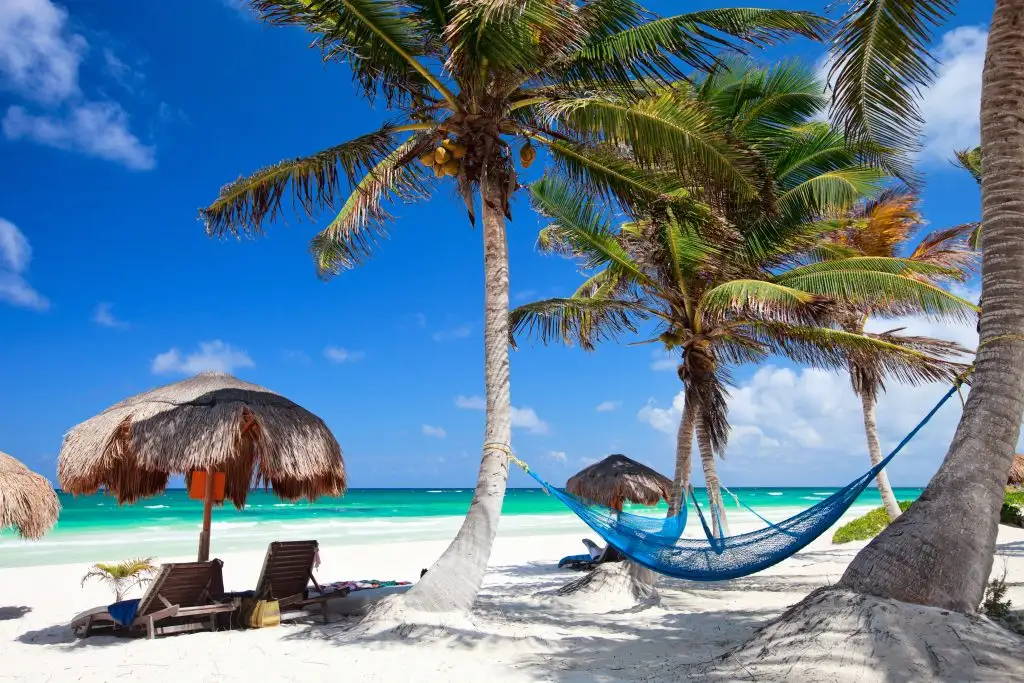 hammock and chairs under a palm tree in tulum, mexico
