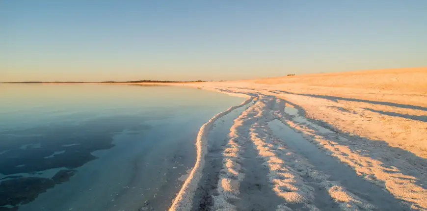 Shell beach denha western australia