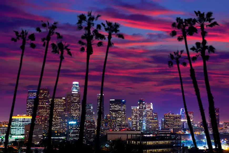 los angeles palm trees and skyline at sunset.