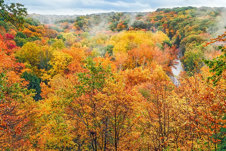 fall foliage in cuyahoga valley national park.